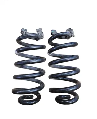 Audi Q4 e-tron Rear coil spring 1EA511103H
