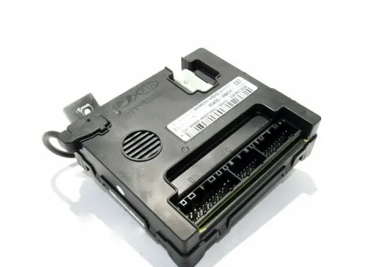Hyundai Santa Fe Other control units/modules 954002B450
