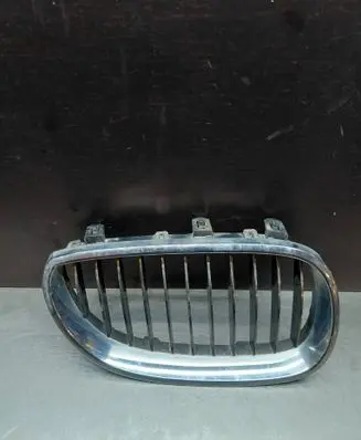 BMW 5 E60 E61 Front bumper upper radiator grill 7065702