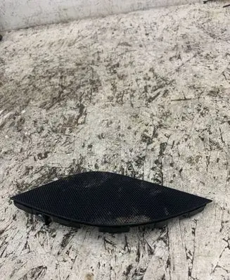 Side speaker trim/cover