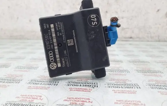 Volkswagen PASSAT B6 Gateway control module 3C0907530C