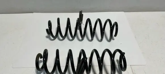 Toyota RAV 4 (XA50) Rear coil spring 4823142580 31642