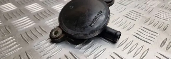 Nissan Primera Breather/breather pipe/hose 