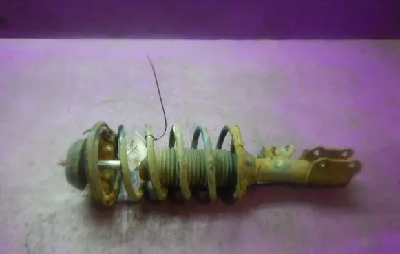 Hyundai i10 Front shock absorber with coil spring