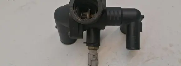 Thermostat/thermostat housing