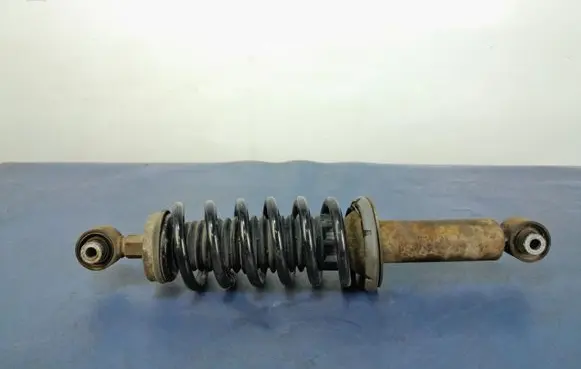 Peugeot 508 RXH Rear shock absorber with coil spring 9593
