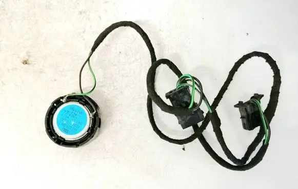 Front door speaker