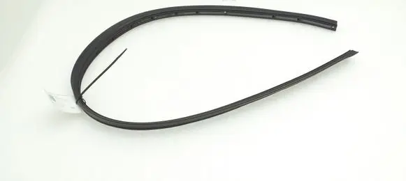 BMW Z4 E89 Rubber seal front coupe door 7203672