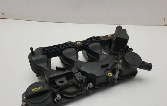 Citroen Berlingo Intake manifold P1001845