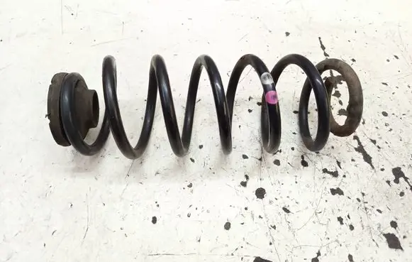 Rear coil spring