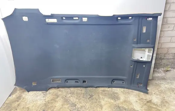 BMW X3 F25 Headlining 