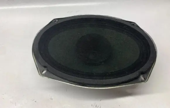 Dodge RAM 1500 DS Front door speaker 05091019AB