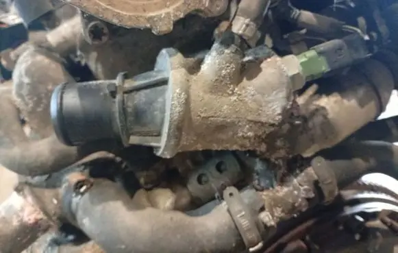 Fiat Doblo Engine coolant pipe/hose