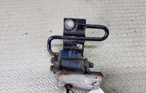 Volkswagen Touareg I Rear door lower hinge