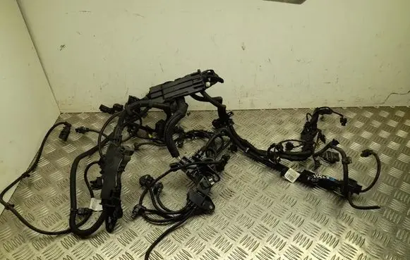 BMW 4 G22 G23 G24 G26 Engine installation wiring loom 8743495
