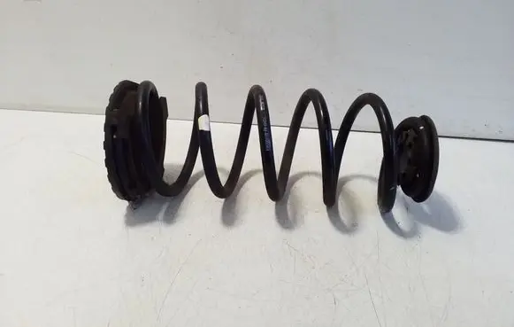 Rear coil spring