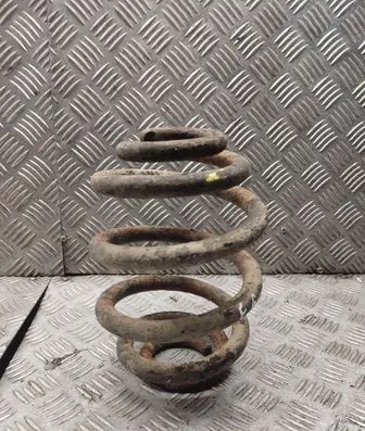Rear coil spring