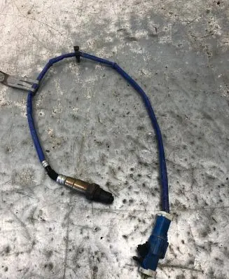 Ford Focus Lambda probe sensor CV61-9G444-CB
