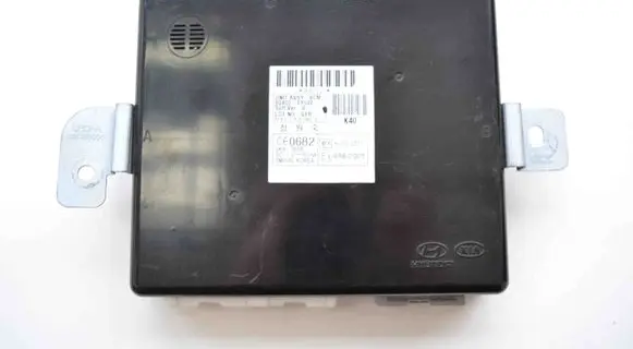 Hyundai ix35 Other devices 954002Y032