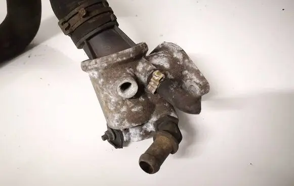 Opel Vectra C Engine coolant pipe/hose 55187784 a116