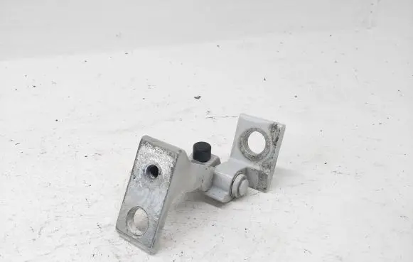 Volkswagen ID.3 Rear door lower hinge 11A831405B