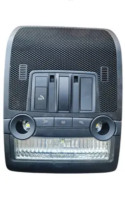 BMW X5 E70 Front seat light 61319166629