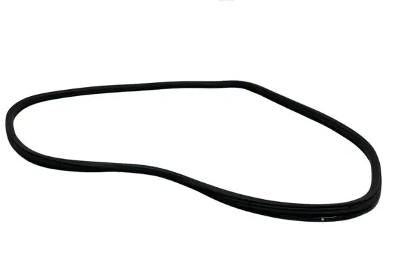 Citroen DS5 Rear door rubber seal (on body) 
