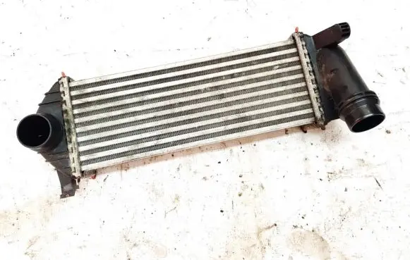 Mercedes-Benz Citan W415 Intercooler radiator 144963234r y5665004