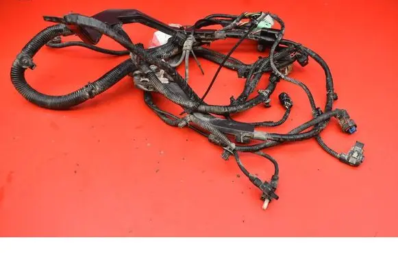 Other wiring loom