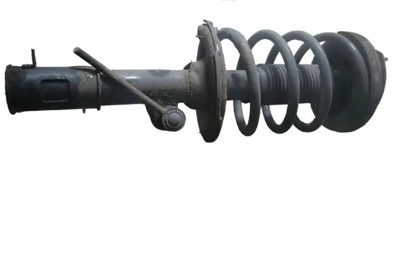 Hyundai Santa Fe Front shock absorber with coil spring