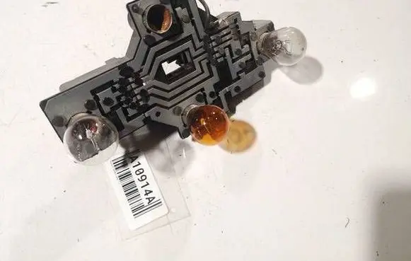Renault Scenic I Tail light bulb cover holder 