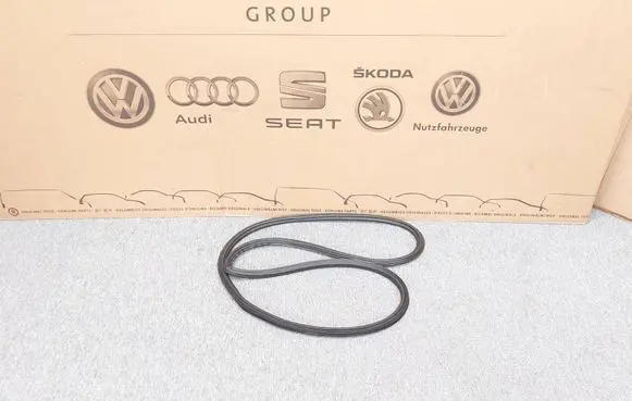 Audi Q3 8U Rear door rubber seal (on body) 8U0831721