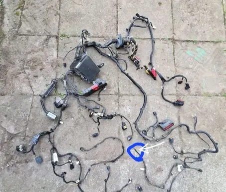 Ford Ecosport Engine installation wiring loom GN1512A581CHH GN1514290 GN1512A581