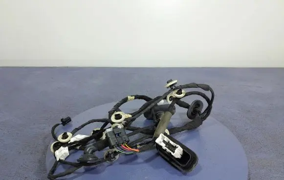Renault Arkana Other wiring loom 241277235R
