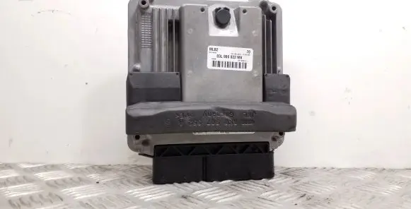 Engine control unit/module ECU