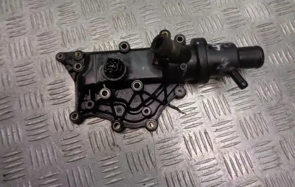 Thermostat/thermostat housing