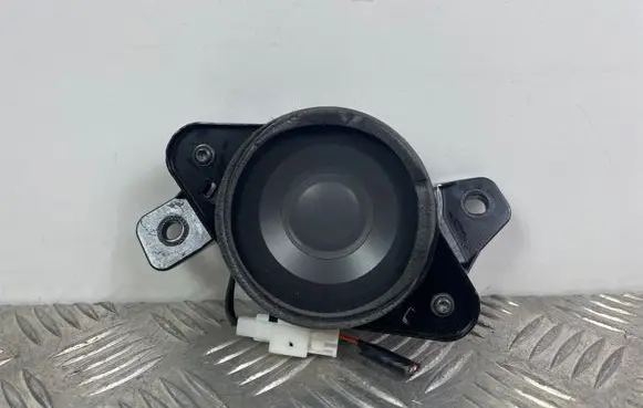 Panel speaker