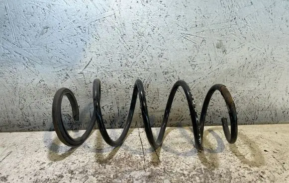 Renault Megane II Rear coil spring