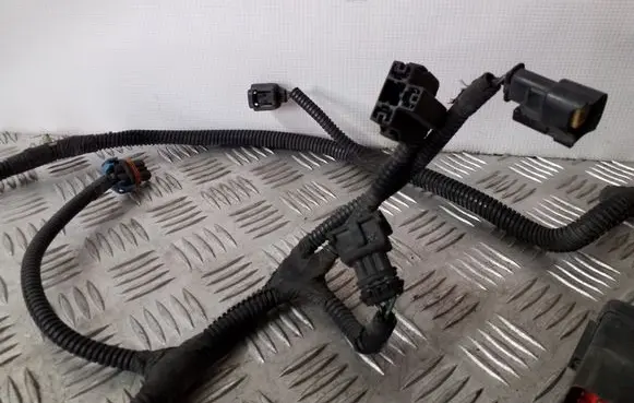 Jeep Cherokee III KJ Other wiring loom 55156825AA