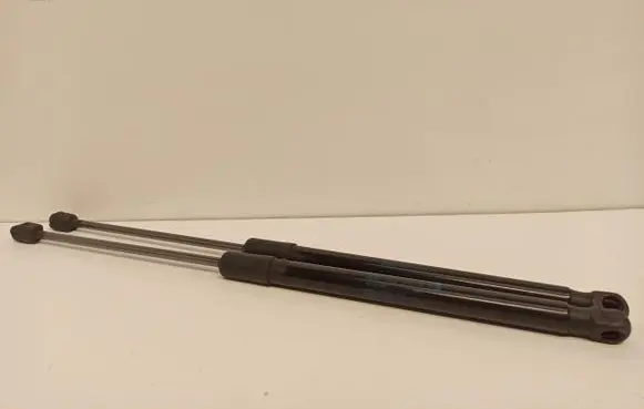 Tailgate strut