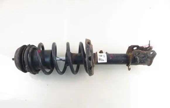 Opel Meriva A Front shock absorber with coil spring