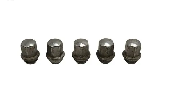 Dodge Charger Nuts/bolts 
