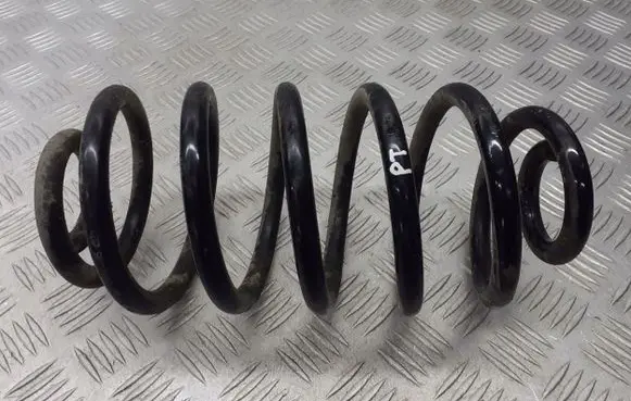 Opel Signum Rear coil spring