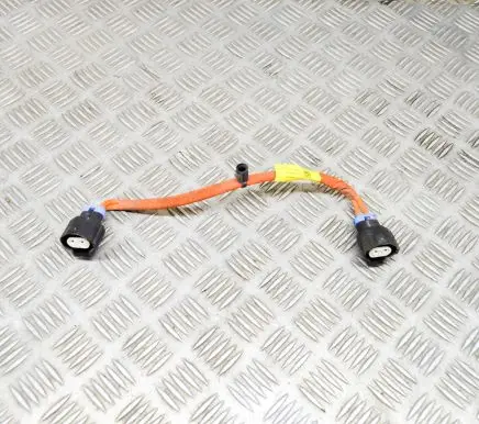 Tesla Model X Other wiring loom 108638000A
