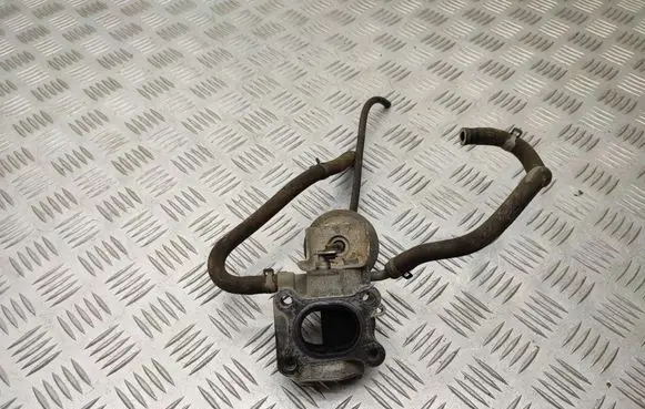 EGR valve