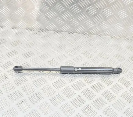 Tesla Model 3 Tailgate/trunk strut/damper 3004550580N 109156000B