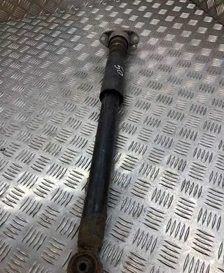 Skoda Roomster (5J) Rear shock absorber/damper
