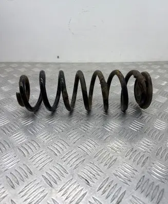 Rear coil spring