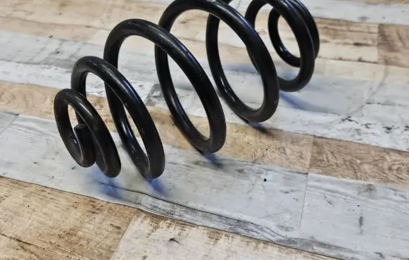 Volkswagen PASSAT B5.5 Rear coil spring