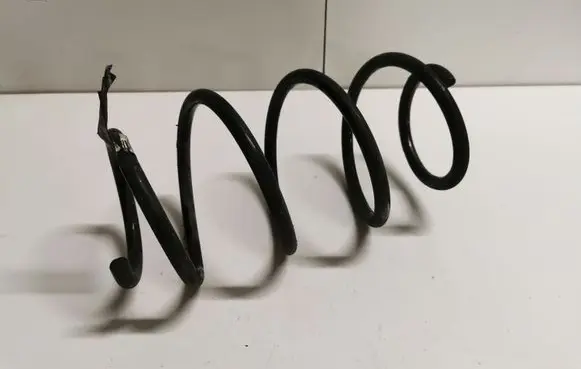 Front coil spring